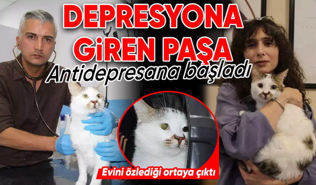 Depresyona giren Paşa antidepresanla tedavi edildi!