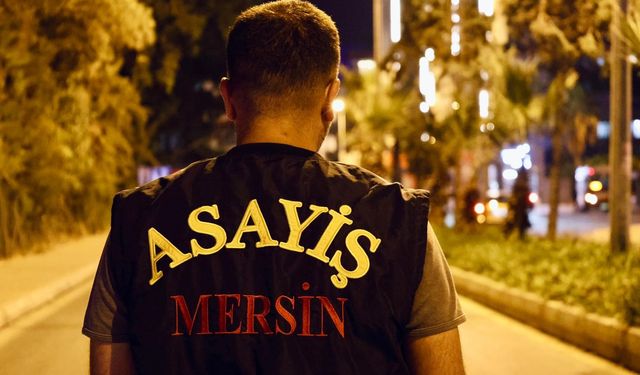 Mersin'de çeşitli suçlara karışan 361 şüpheli tutuklandı, 134 silah ele geçirildi