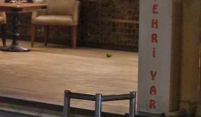 Adana'da bomba paniği