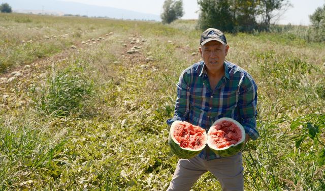 Londra'da kazandıklarıyla memleketine toprak yatırımı yaptı