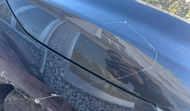 Tekirdağ'da gökyüzünden örümcek ağı yağdı