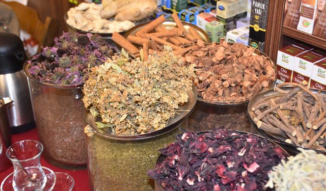 Prof. Dr. Şener: Kış çaylarında toksin riski var