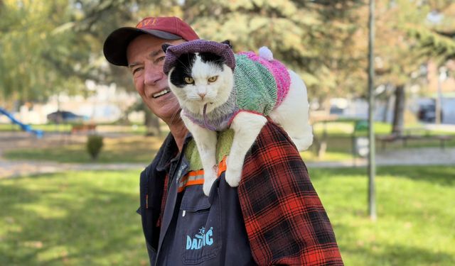 12 yıl önce sahiplenip birlikte 65 şehir gezdiği kedisi omzundan inmiyor