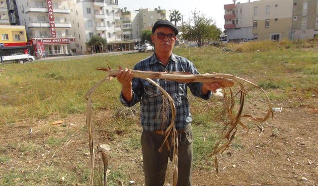 Mersin’de bir kişi yer altı su kaynaklarını bulabiliyor, bulduğunda elektrik çarpmışa dönüyor