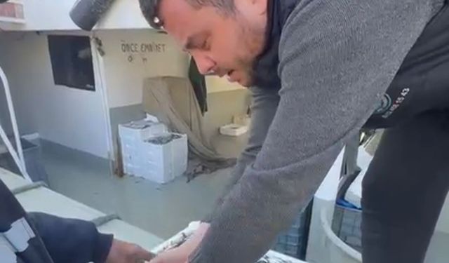 Kasasını 200 liraya alıp, tezgahta kilosunu 200 liraya satan esnaf, balıkçılar tarafından protesto edildi