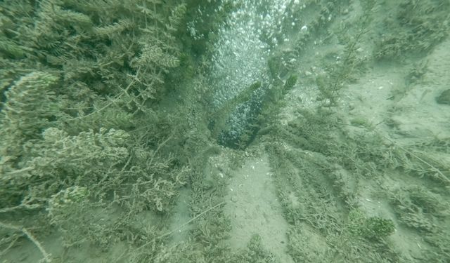 Sapanca Gölü'ndeki kabarcıkların verdiği endişe artıyor: "Herkes korkuyor, rahat uyuyamıyoruz"