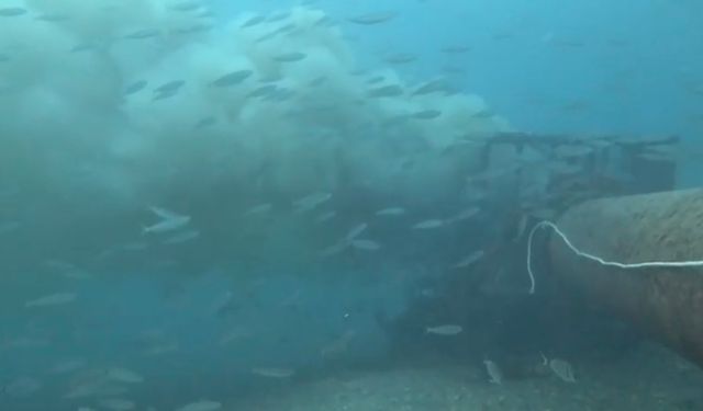 Çanakkale Boğazı’nda kirlilik alarmı... Rekortmen dalgıç şok oldu!