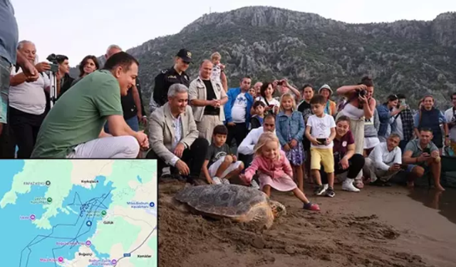Caretta Caretta 'Lansinoh'un rotasını 25 bin kişi görüntüledi