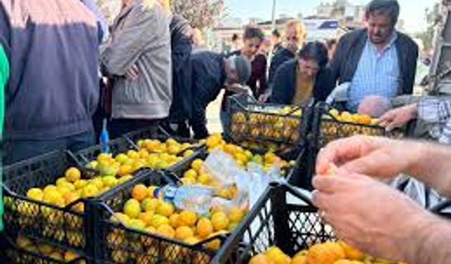 Hatay'da üreticiler, alıcı çıkmayan tonlarca mandalinayı ücretsiz dağıttı