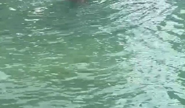 "İşten atıldım" diyerek Balıklıgöl'e atladı