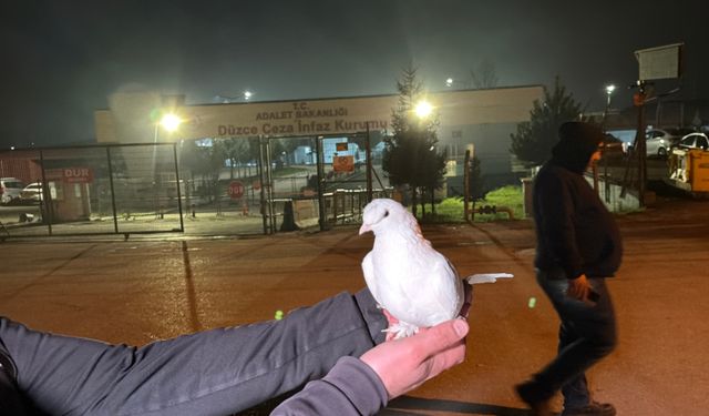 Tahliyeleri beyaz güvercinle karşıladılar