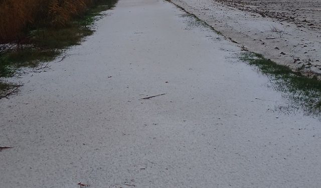 Adana'da dolu yağdı, yollar ve tarlalar beyaza büründü