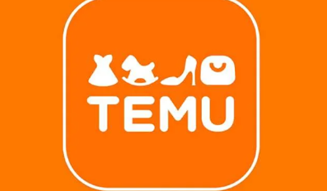 Temu’nun AB’deki merkez ofisine baskın düzenlendi