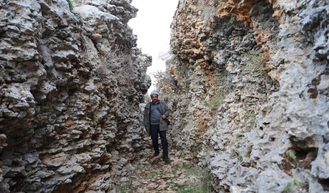 Diyarbakır'da yüz milyonlarca yıl önceye ait fosiller bulundu