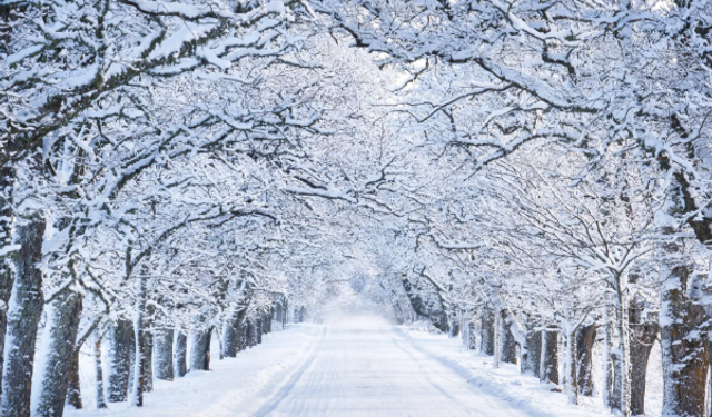 Meteoroloji uyardı: Sağanak ve yükseklerde kar geliyor