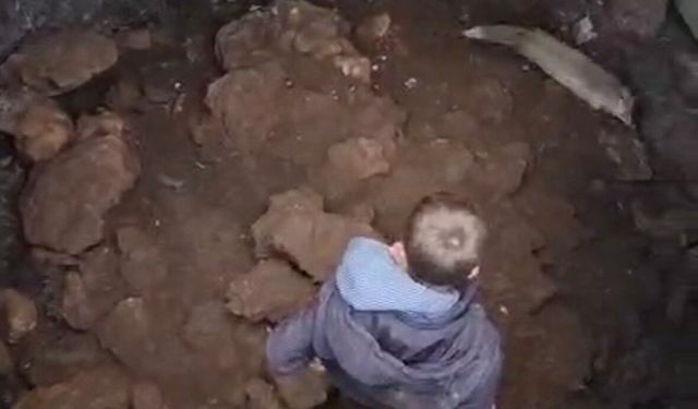 Mardin'de kuyuya düşen tilkiyi gençler kurtardı