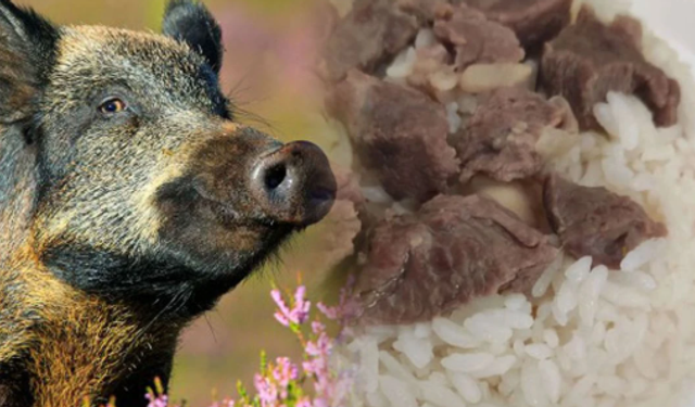 Aydın Valiliğinden ‘domuz eti’ iddialarına açıklama