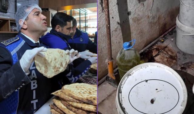 Zabıta müdürü şok oldu: "Fareyi geçtim, yılan çıkacak diye korkuyorum"