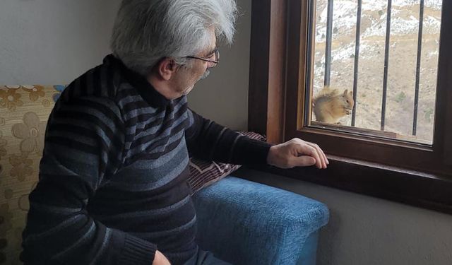 Her gün penceresine gelen sincabı besliyor