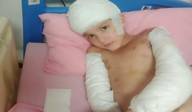 Köpek saldırısında yaralanan Tunahan'a 5 milyon TL tazminat