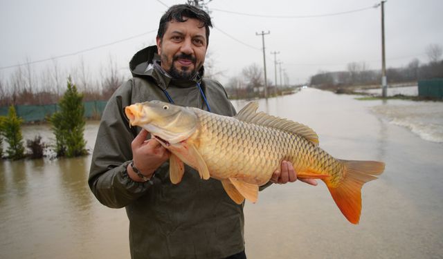 Çiftçiler şaşkın! Tarlalardan canlı balık topladılar