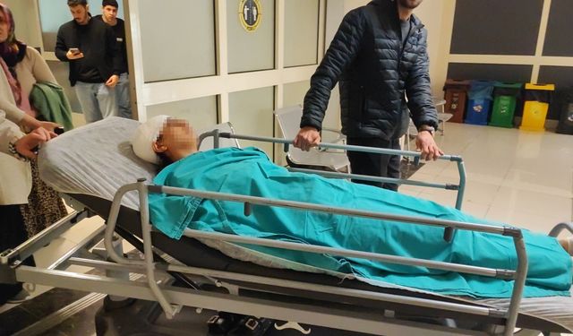 Ekmek almaya giderken sokak köpeklerinin saldırısına uğrayan genç kız yaralandı