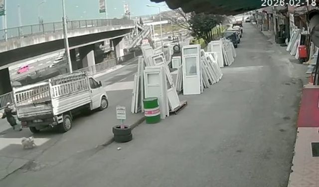 Köpekten kaçmaya çalışan üniversite öğrencisine belediye otobüsü çarptı