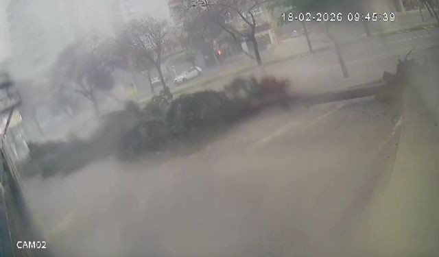 Fırtına dev ağaçları kökünden söktü, o anlar kameraya yansıdı