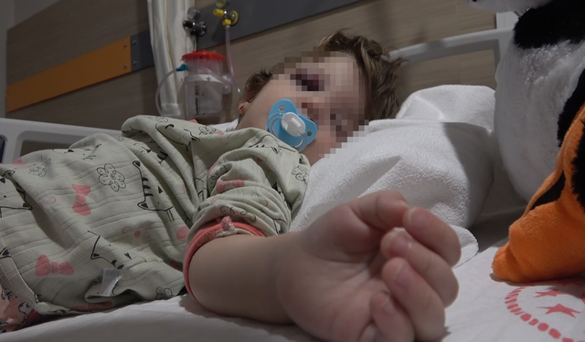 Yalova'da komşuların gürültü kavgasında 14 aylık bebek hastanelik oldu