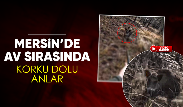 Mersin'de av sırasında domuz saldırısı kamerada