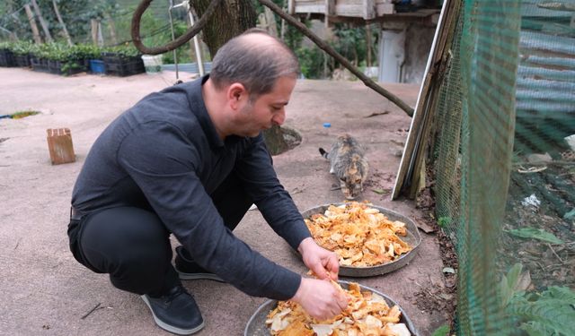 Babadan kalan 'anlamlı miras'; lokantada artan yiyecekleri sokak kedilerine götürüyor