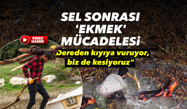 Sel sonrası 'milyonluk' yazlıkların önünde 'ekmek' mücadelesi