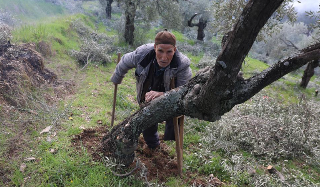 Mehmet Dede, tek ayağıyla hayata meydan okuyor