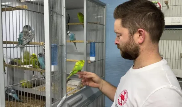 Hobisi olan muhabbet kuşlarına, evinin üstüne koyduğu konteynerde bakıyor