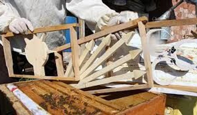 Bu seçimde kazananı 'arılar' belirleyecek