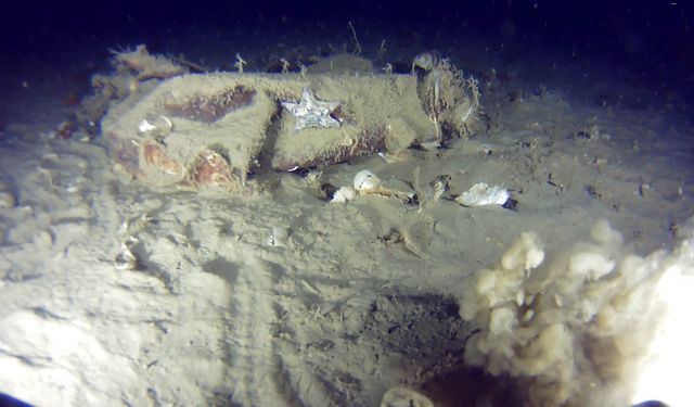 42 kişiye mezar olmuştu... THY'nin 51 yıl önce düşen uçağından yeni parçalar bulundu!