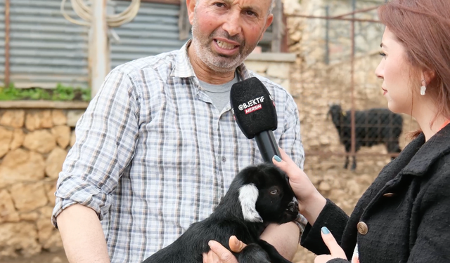 Tarım Var, Hayvancılık Var Ama İşçi Yok