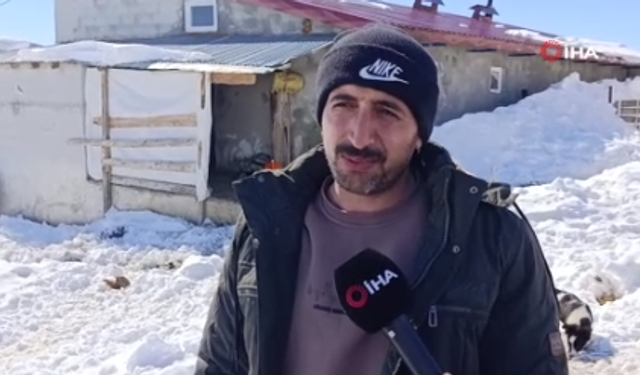 Kars’ta kurt sürüsünü kürekle kovalayan vatandaş kamerada