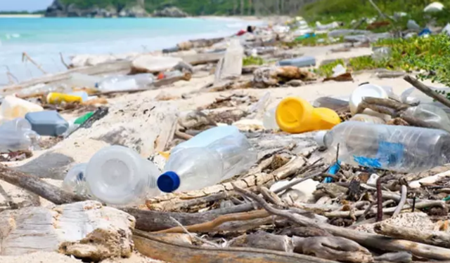 Türkiye’den çevre için kritik adım: Tek kullanımlık plastikler yasaklanıyor