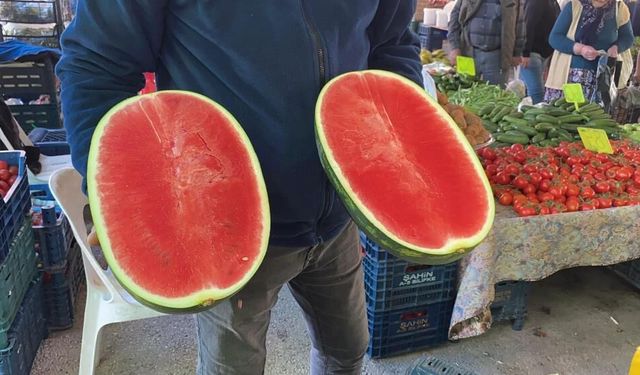 Karpuz pazara dilim dilim düştü: Kilosu 50 TL