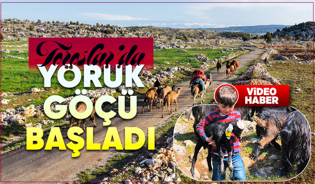 Toroslar'da Yörük göçü başladı: Sarıkeçililer yayla yolunda