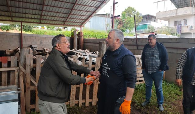 Kurbanlıklar satışa çıktı, pazarlıklar kızıştı