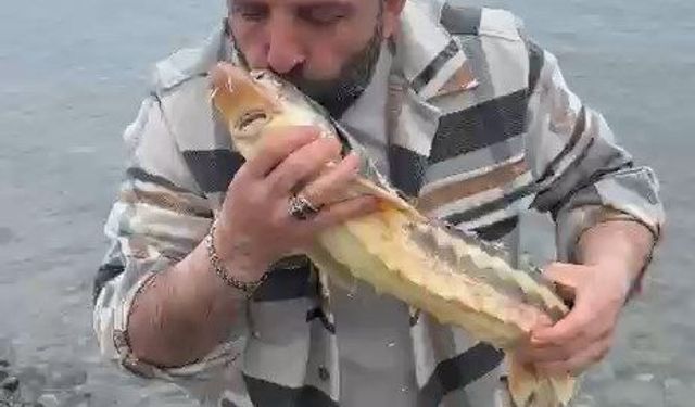 Satın aldığı balığı, canlı ve nesli tehlikedeki tür olduğunu görünce denize ulaştırdı