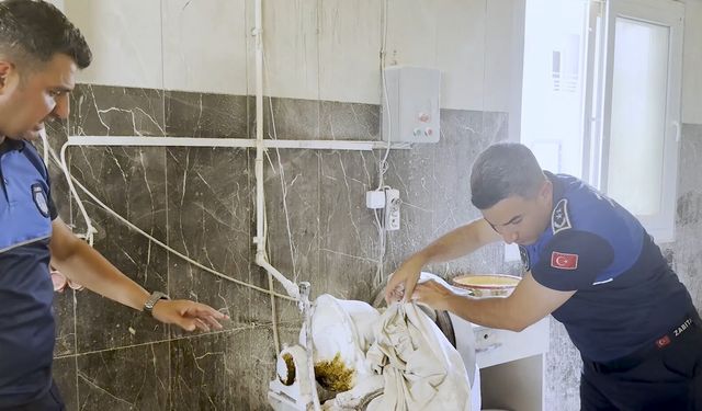 TARSUS BELEDİYESİ'NDEN HALK SAĞLIĞI İÇİN KAPSAMLI FIRIN DENETİMİ