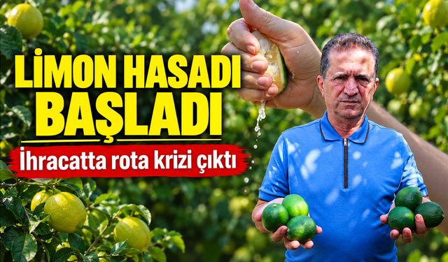 Limon üreticisinin gözü Rusya'da: Gemiler gitmeyince hasat yavaşladı