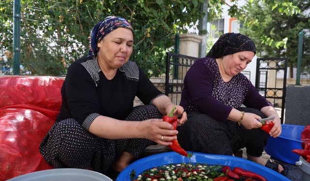 Damlar şarkılı türkülü salça mesaisi ile kırmızıya boyandı