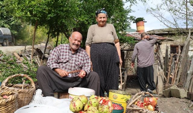 80 yaşındaki Yeter nine, nar tanelerinin başında geleneği yaşatıyor