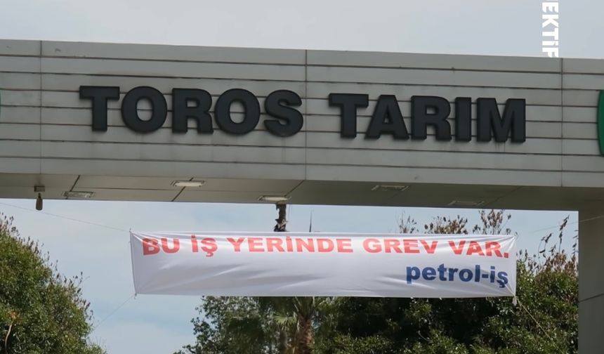 Mersin’de Toros Tarım İşçileri Grevde