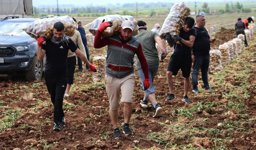 Bunlar özel işçiler: Aylık 90 ile 100 bin lira arasından kazanıyorlar