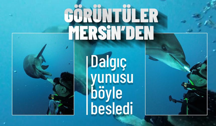 Mersin açıklarında dalış yapan dalgıç, kendisine eşlik eden yunusları görüntüledi